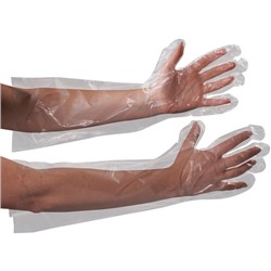 Clear Poly Gloves 18