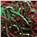 10 lb. Christmas Blend Crinkle Paper