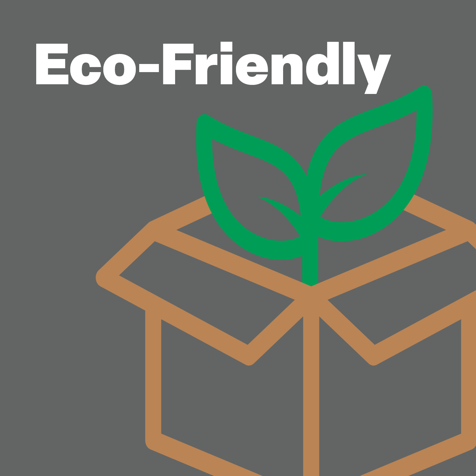 Eco-Friendly Packaging